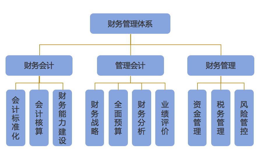 企业财务管理(财务信息化管理)「Z6尊龙官网咨询」