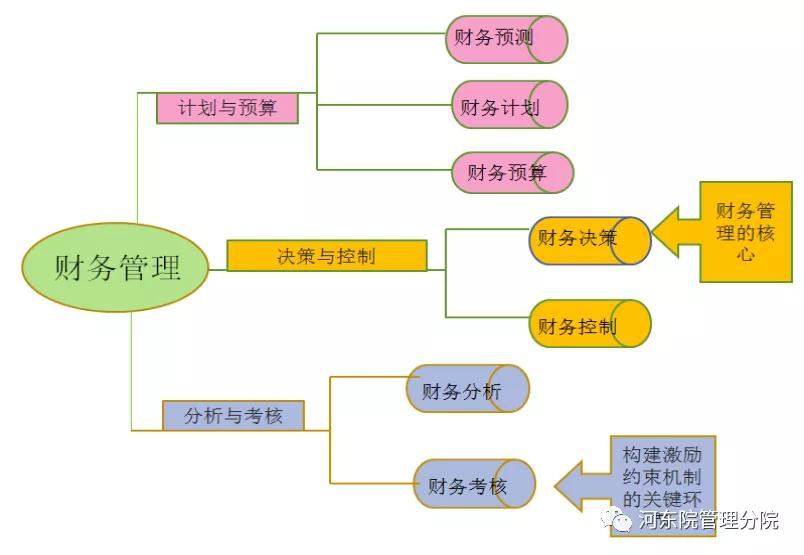 集团公司财务管理制度(四川明珠集团有限责