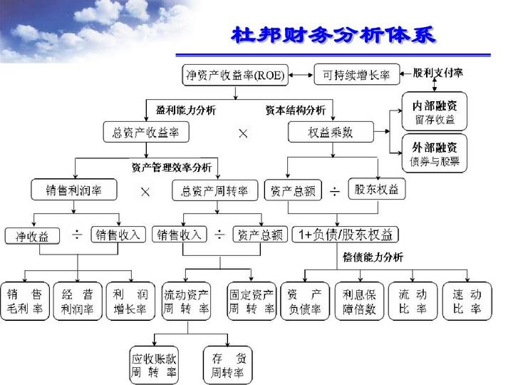 财务报表综合分析(财务稽核报表)(图4)