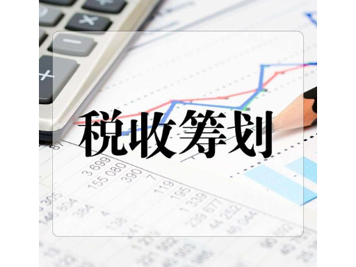 财税筹划(企业财税实务与财税基础知识)