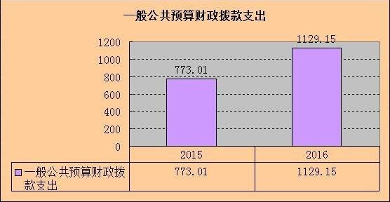 预算管理措施及成效(预算管理 绩效管理)