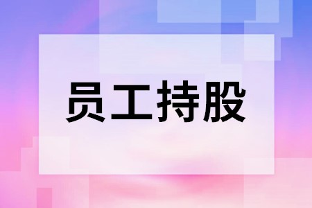 上市公司股权激励(上市前股权激励案例)