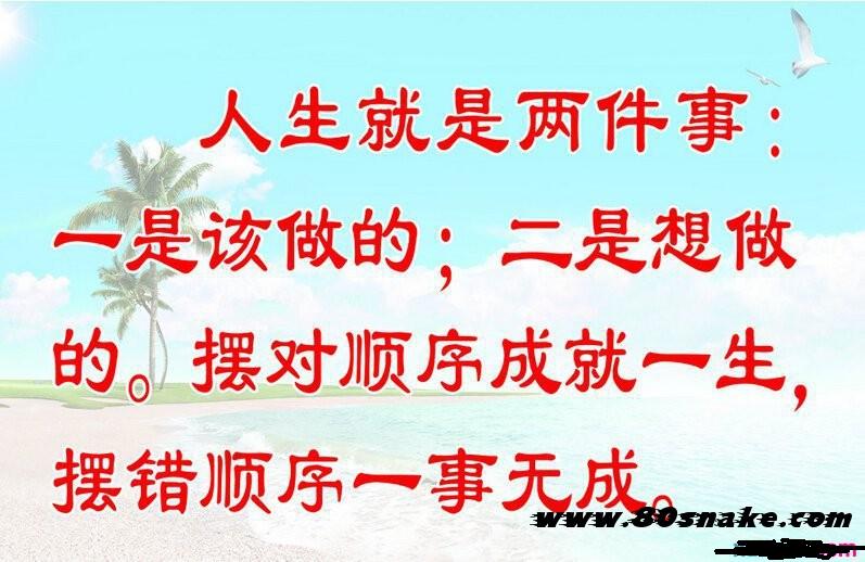 境外上市和境内上市的区别(中华人民共和国境外非政府组织境内活动管理法)(图3)