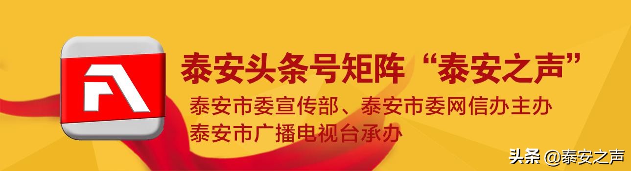 视频|新泰市：百人税务顾问团驻企解困保发展