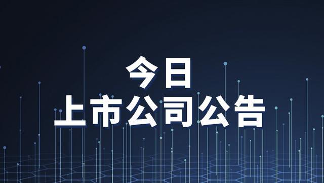 上市公司公告(上市公司的公告在哪里查)