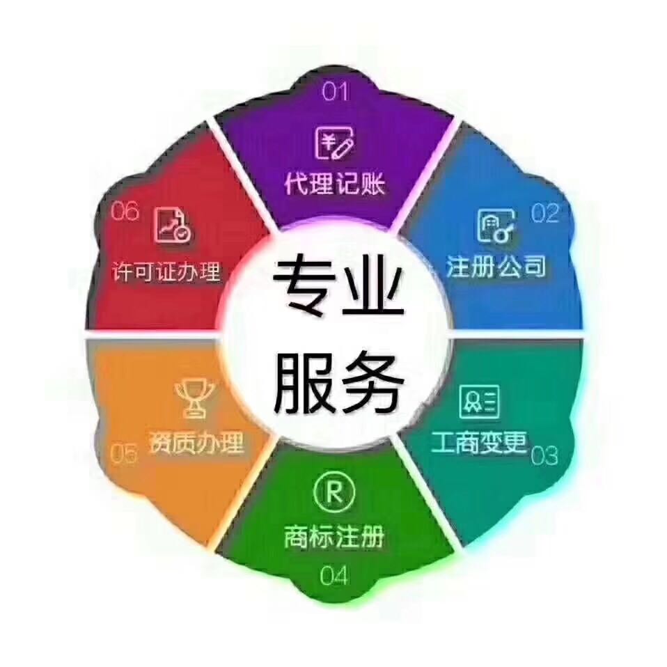 财税网 上海