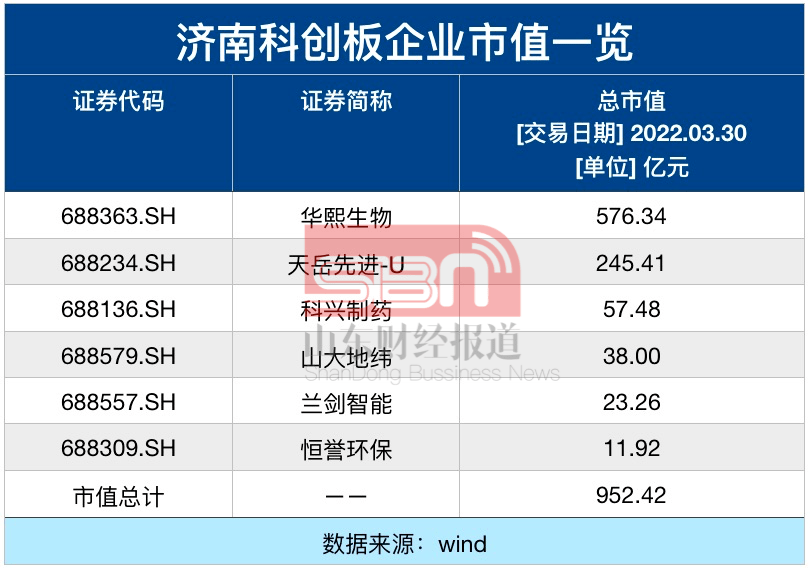 创业板上市公司