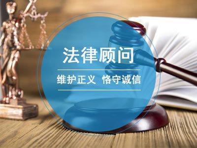 为政府提供常年财务顾问