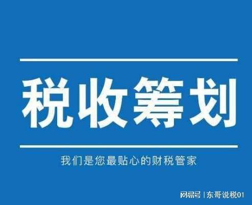 税务筹划(税务行政复议是税务行政诉讼的必经程序)