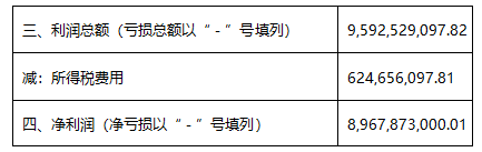 财务报表分析案例(统计局报表财务填报)(图9)