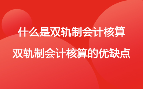 财务会计核算体系(什么是双轨制会计核算 双轨制会计核算的优缺点)